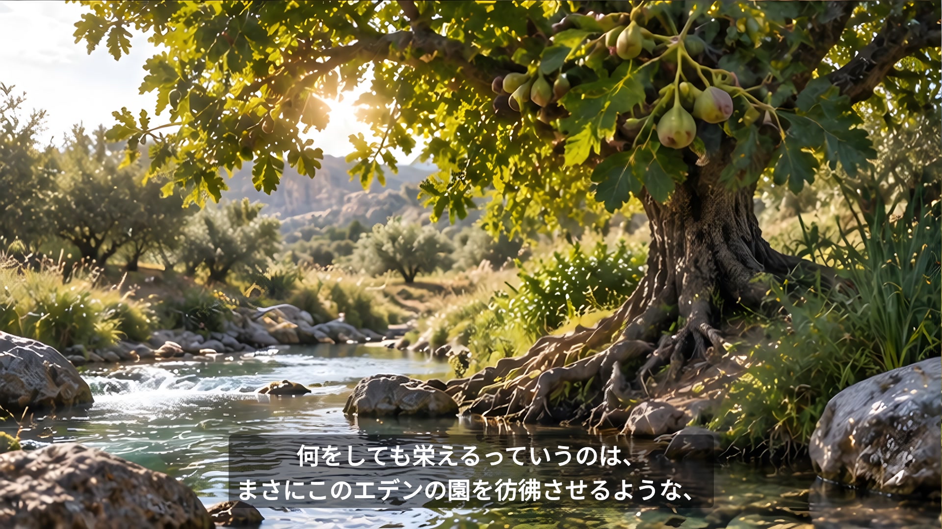 水路のそばに根を張る木を描いた聖書Bロール